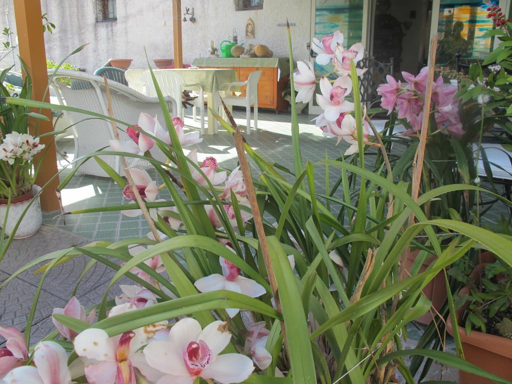 Aparthotel Villa Marinu Forio di Ischia Dış mekan fotoğraf