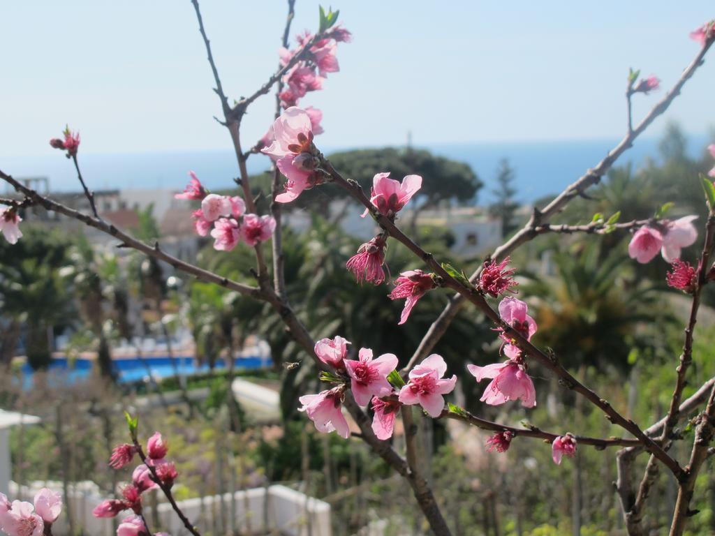 Aparthotel Villa Marinu Forio di Ischia Dış mekan fotoğraf