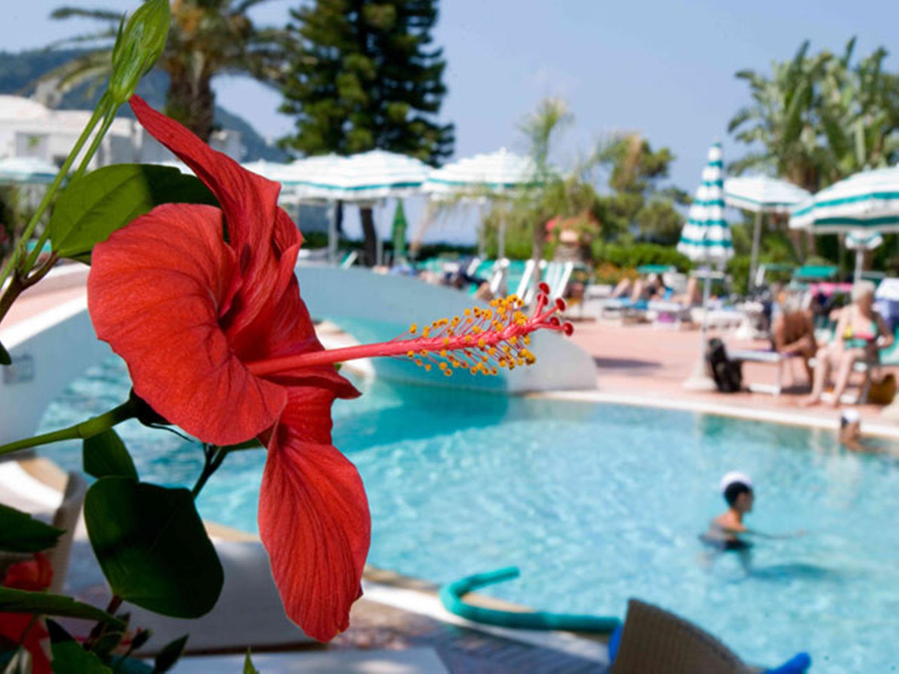 Aparthotel Villa Marinu Forio di Ischia Dış mekan fotoğraf