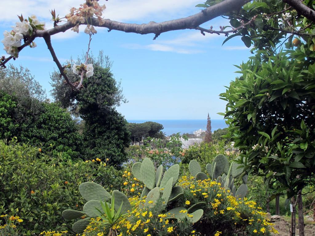 Aparthotel Villa Marinu Forio di Ischia Dış mekan fotoğraf